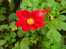 DSCN8765