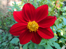 DSCN8767
