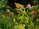 DSCN8771