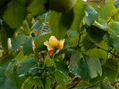 DSCN8780