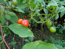 DSCN8782