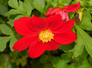 DSCN8785