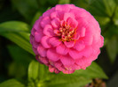 DSCN8786