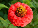 DSCN8787