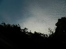 DSCN8799