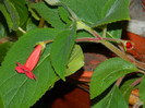 DSCN8818