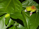 DSCN8819