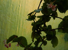 DSCN8830