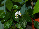 DSCN8832