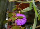 DSCN8853