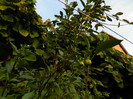 DSCN8859