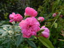 DSCN8860