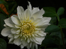 DSCN8864