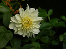 DSCN8866