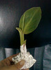 11 oct 2012-flori 047
