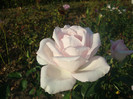 DSC02808