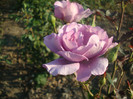 DSC02807