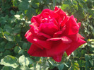 DSC02819