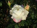 DSC02823