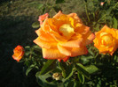 DSC02828