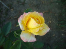 DSC02839