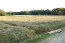 101_0035  Nici capetele de pod nu rezista acestor vremuri ,chiar in rezervatie ...