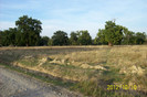 101_0031 Pamantul excavat din santurile (transee) nu s-a nivelat ,doar nu ar fi ceva natural ...