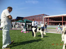 A-ILIE LA EURO DOG SHOW BUC. 2012