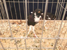 DSCF0690