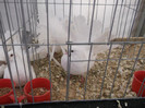 DSCF0691