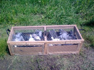 Image0434
