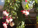 DSCN3632