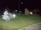 PENSIUNEA CAROL NT
