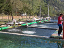DSCN3975