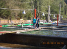 DSCN3979
