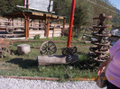 DSCN3981