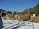 DSCN3984