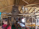 DSCN4014