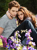 081612-breaking-dawn-stills-lead-340