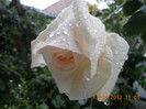DSCN2105