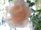 DSCN2106