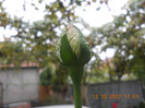 DSCN2107