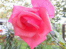 DSCN2108