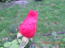 DSCN2109
