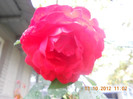 DSCN2110