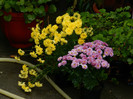 DSCN8879 oct 13
