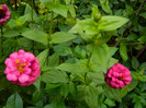 DSCN8893