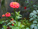 DSCN8894