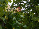 DSCN8910