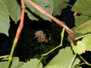 DSCN8913